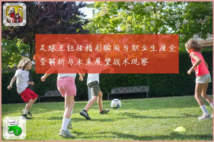 足球王钰栋精彩瞬间与职业生涯全景解析与未来展望战术观察