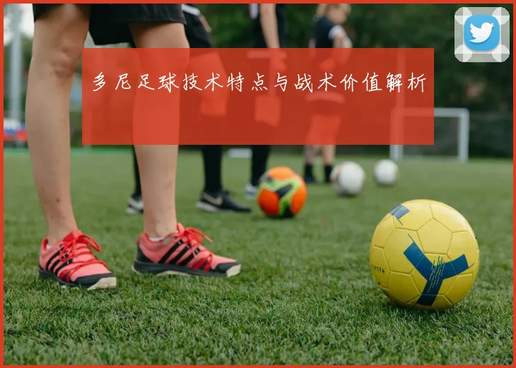多尼足球技术特点与战术价值解析