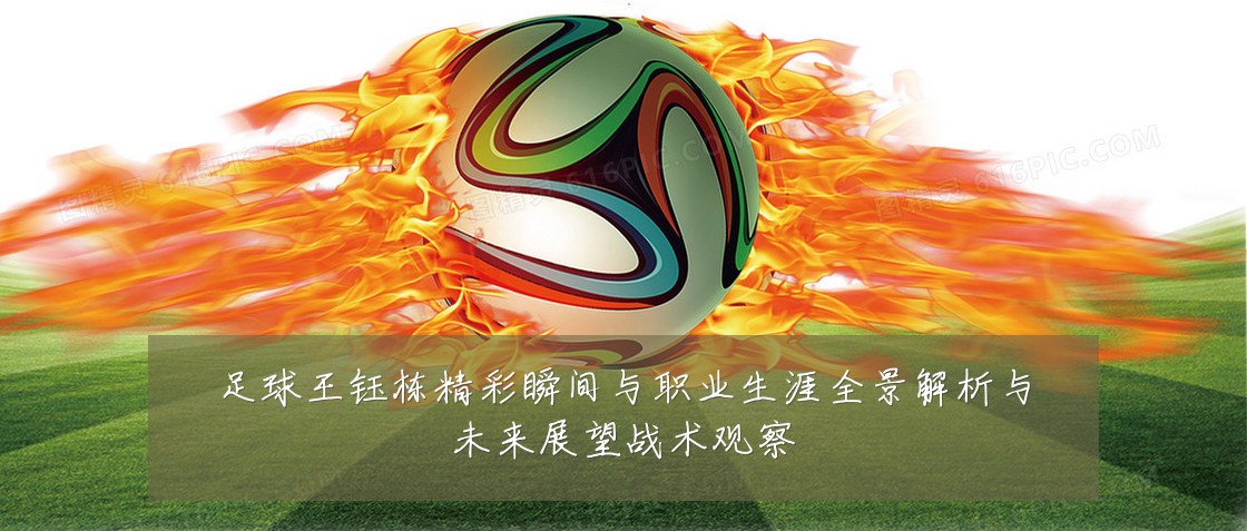 足球王钰栋精彩瞬间与职业生涯全景解析与未来展望战术观察